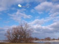 20160128_132314